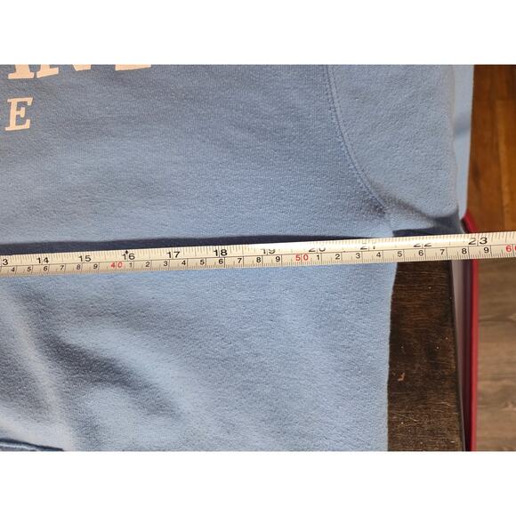 Champion Covenant College Sky Blue Sweatshirt Sweater Look Out Mountain PCA - Picture 6 of 6